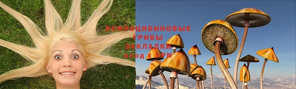 PSILOCYBIN Белая Калитва