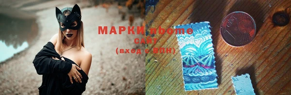 прущие грибы Няндома