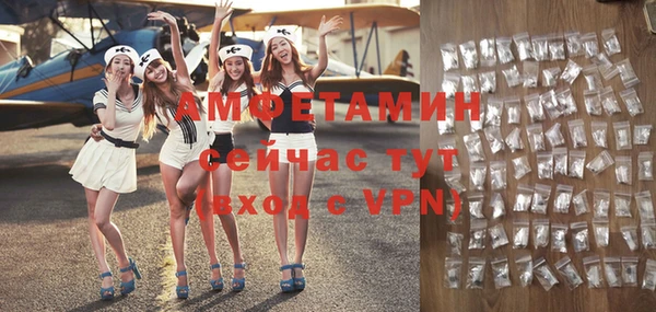 прущие грибы Няндома