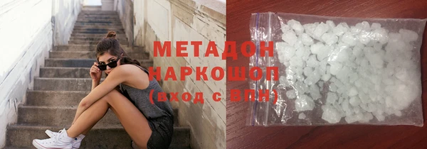 прущие грибы Няндома