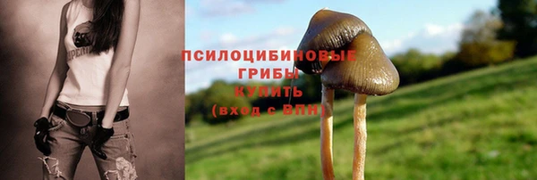 спиды Нягань