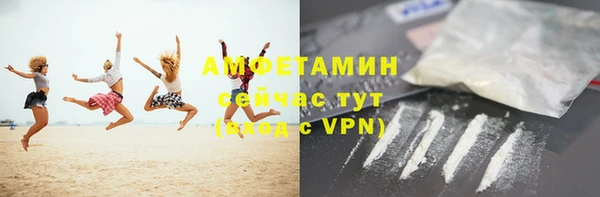 прущие грибы Няндома