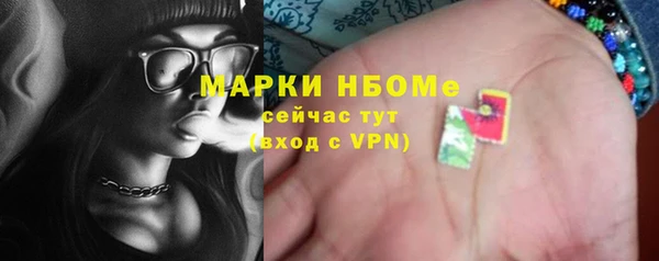 прущие грибы Няндома