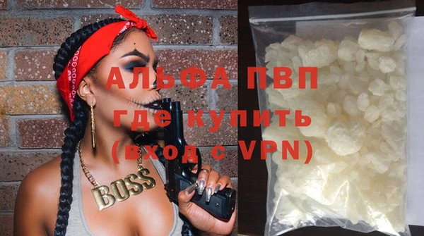 прущие грибы Няндома