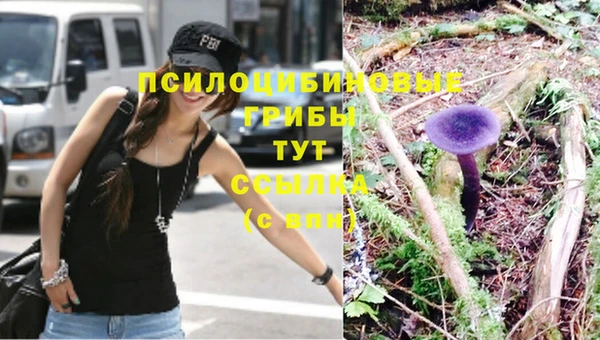 скорость Нязепетровск
