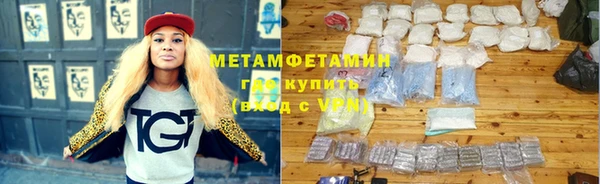 прущие грибы Няндома