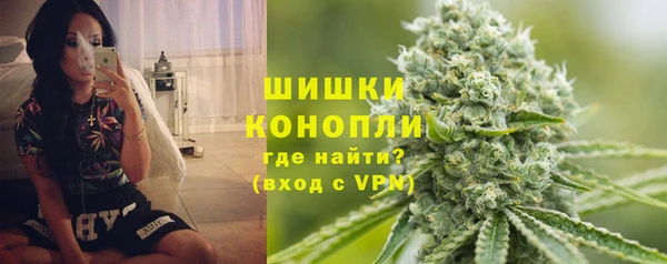 прущие грибы Няндома