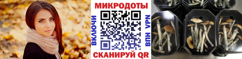 ОМГ ОМГ ссылка  Болотное  Псилоцибиновые грибы GOLDEN TEACHER 
