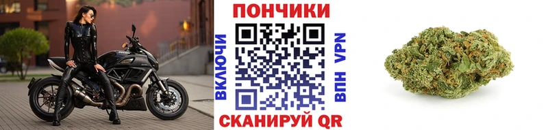 Бошки Шишки планчик Болотное