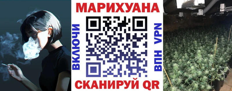 Каннабис план  гидра как зайти  Болотное  где найти наркотики 